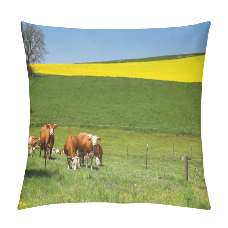 Personality  Fields In Germany Pillow Covers