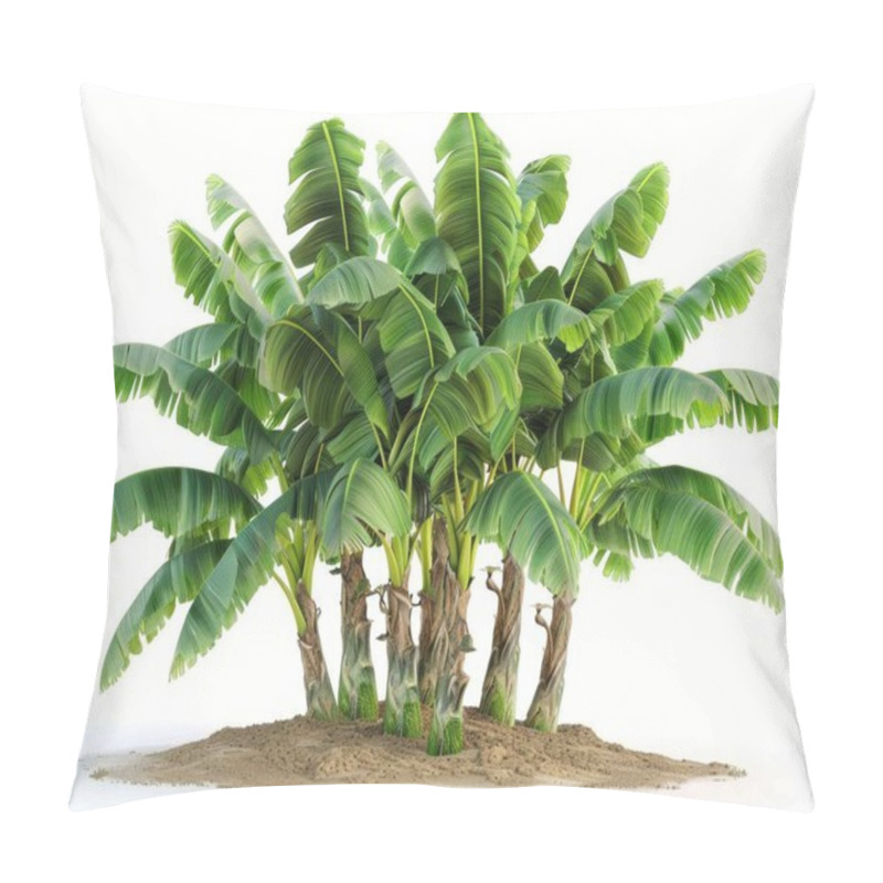 Personality  Lush Banana Plant With Vibrant Green Leaves, Showcasing A Tropical Vibe. Pillow Covers