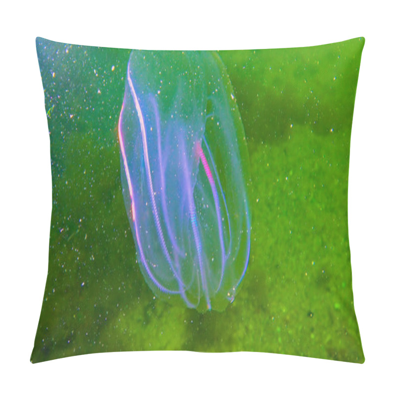 Personality  Ctenophores, Comb Invader To The Black Sea, Jellyfish Mnemiopsis Leidy. Black Sea Pillow Covers