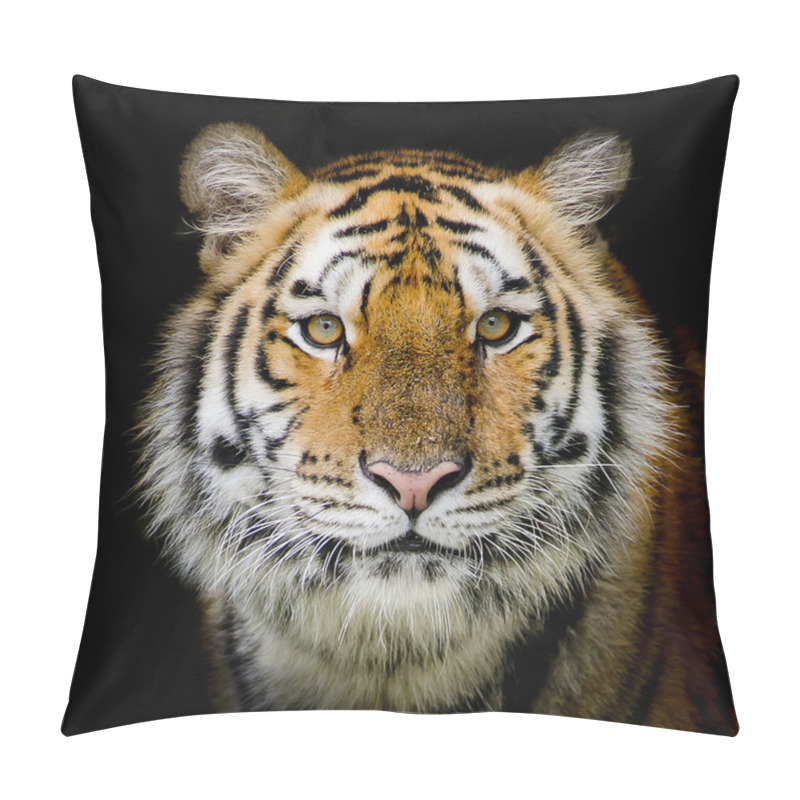 Personality  Tiger  Background Pillow Covers