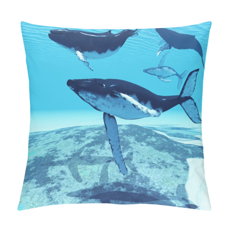 Personality  Whale Pod Pillow Covers