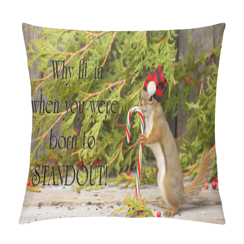 Personality  Inspirational Quote. Pillow Covers