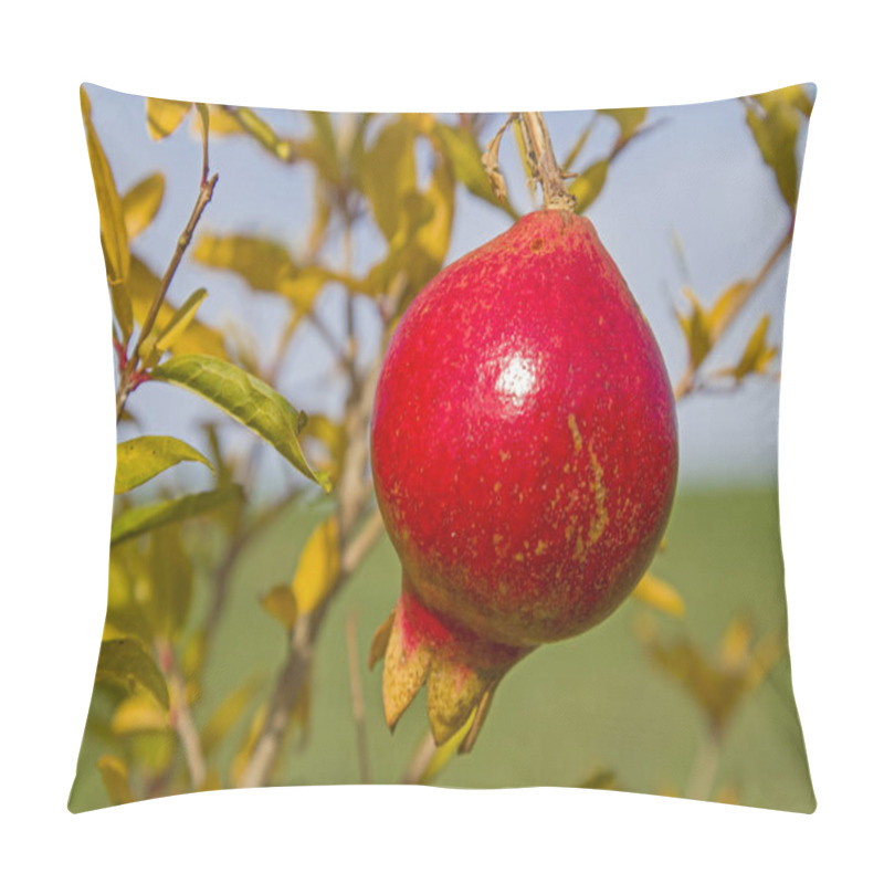 Personality  Ripe Pomegranate On The Tree Pillow Covers