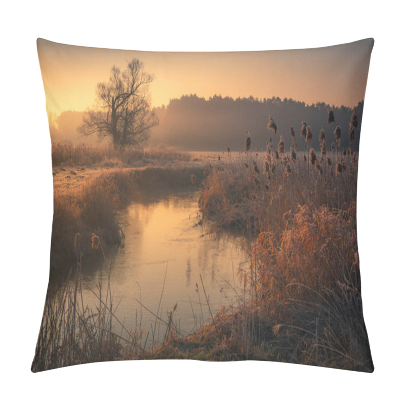 Personality  Foggy Morning In The Jeziorka Valley At Sunrise Near Piaseczno, Poland Pillow Covers