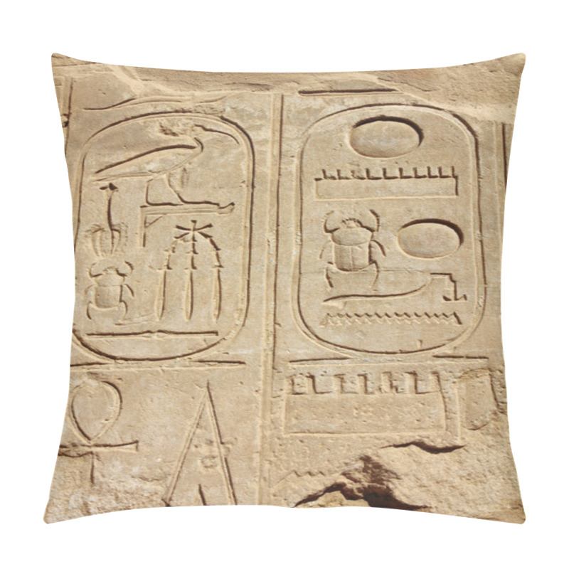 Personality  Ancient Egypt Hieroglyphics On Wall Pillow Covers