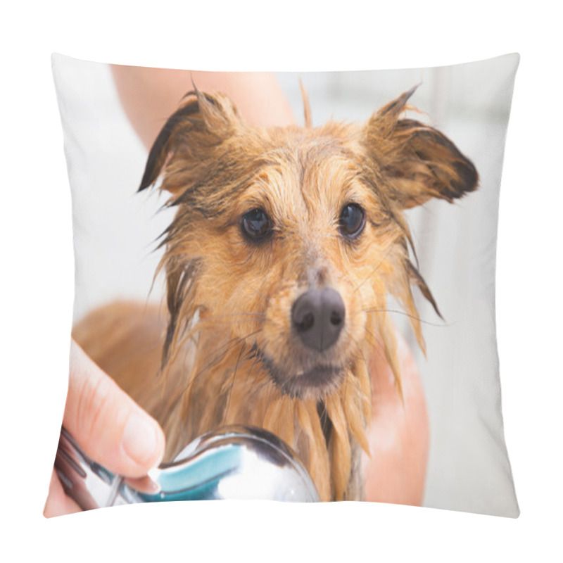 Personality  Shetland Sheepdog Under Shower Pillow Covers