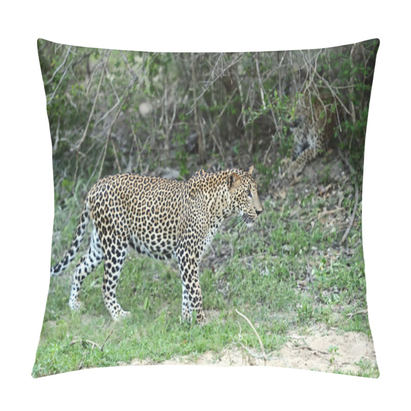 Personality  Leopard Pillow Covers