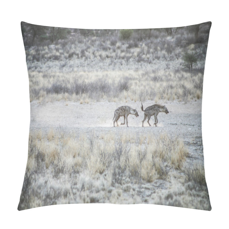 Personality  Group Of Spotted Hyaenas In The Kalahari Desert Pillow Covers