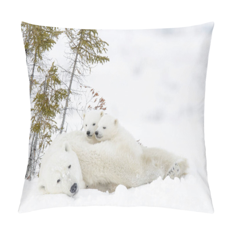 Personality  Polar Bear Mother (Ursus Maritimus) With Two Cubs, Wapusk National Park, Manitoba, Canada Pillow Covers