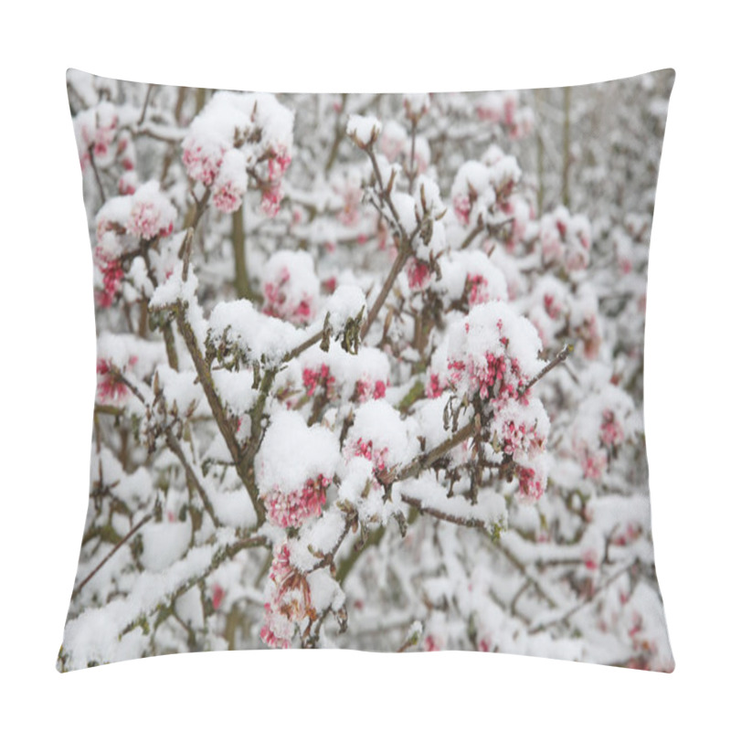 Personality  Beautiful Pink Flowers On Tree Branches Covered With Snow At Frost  Pillow Covers