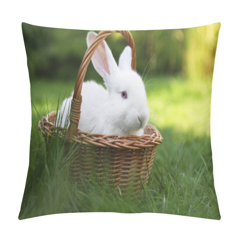 Personality  Cute White Rabbit In Wicker Basket On Grass Outdoors Pillow Covers