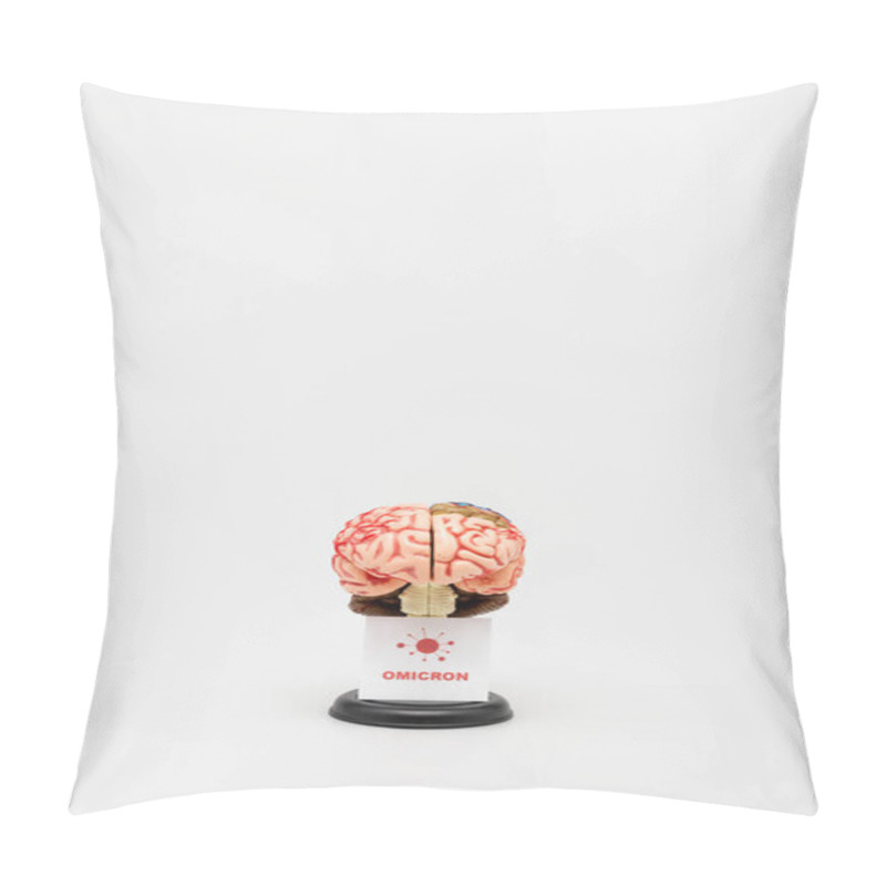 Personality  Card With Omicron Lettering And Bacteria Near Brain Model On Grey Background Pillow Covers