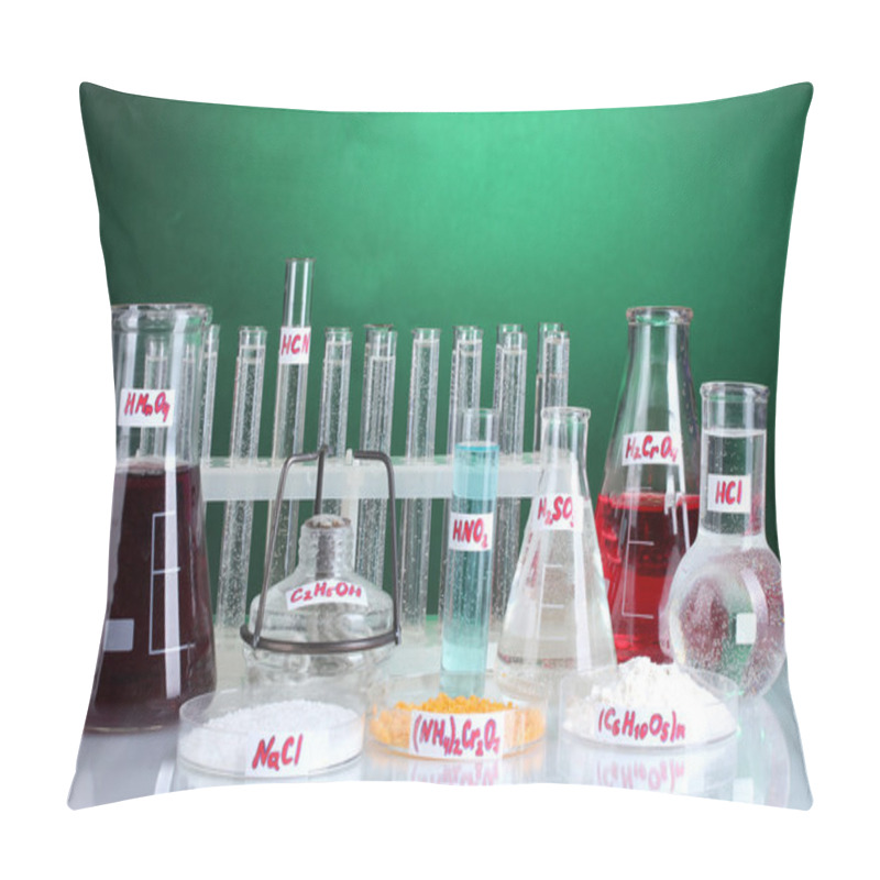 Personality  Test-tubes With Various Acids And Chemicals On Bright Background Pillow Covers