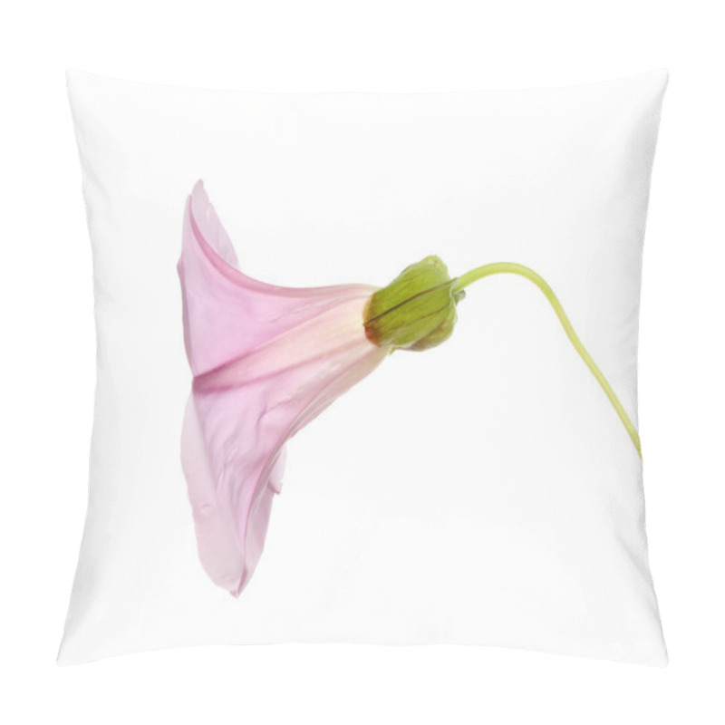 Personality  Bindweed Flower Pillow Covers