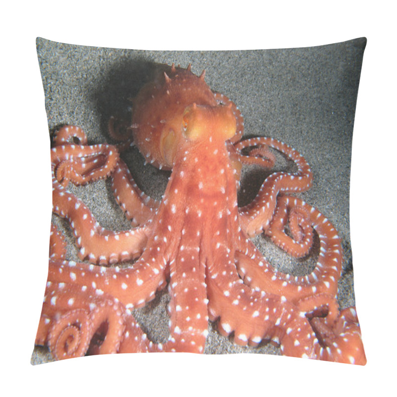 Personality  Octopus Macropus Pillow Covers