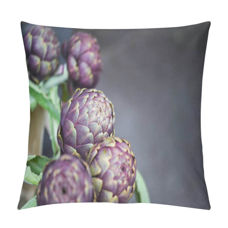 Personality  Fresh Natural Artichoke Flower Close Up Pillow Covers