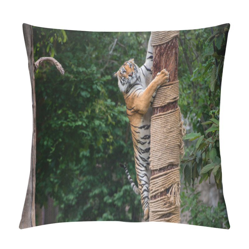 Personality  Tiger Climbing Tree Pillow Covers