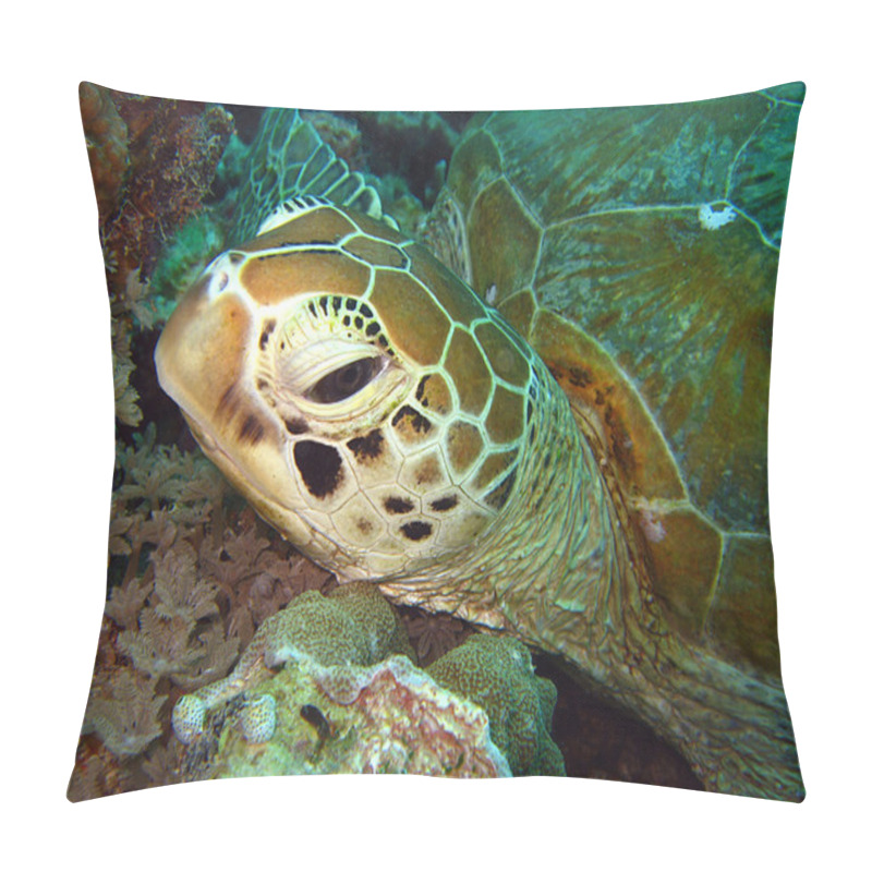 Personality  Green Turtle Close-up Pillow Covers