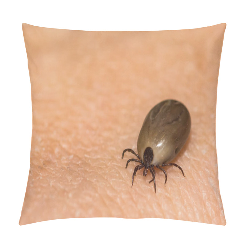 Personality  Engorged Female Deer Tick Removed From An Accidental Host. Pillow Covers