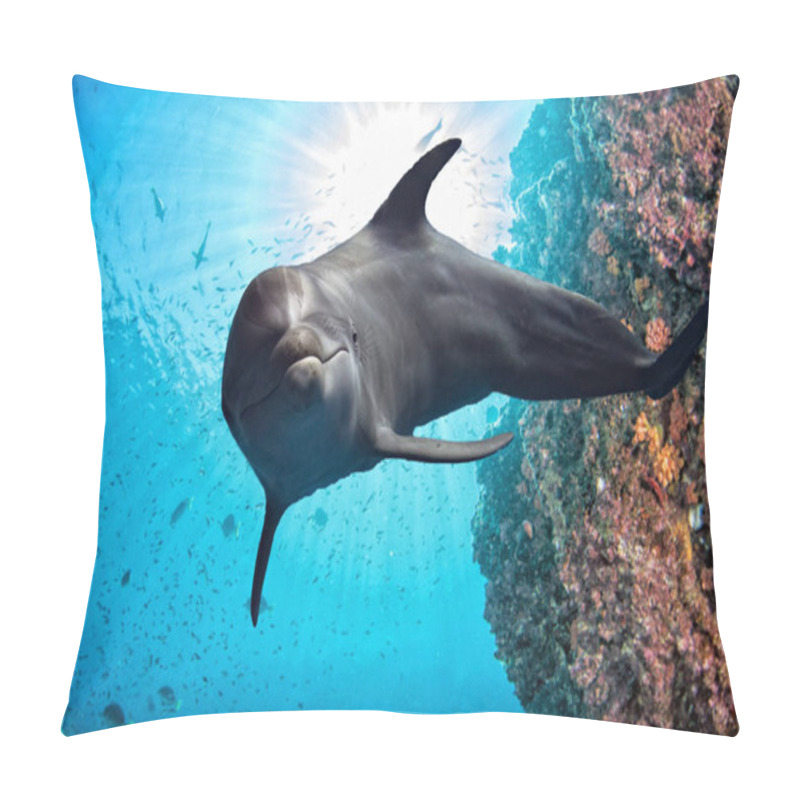 Personality  Dolphin Underwater On Reef Close Up Look Pillow Covers