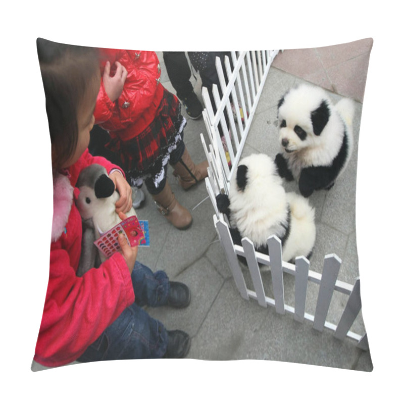 Personality  Kids Look At Two Chow Chows Which Look Like Pandas With Special Make-up During A Pet Dog Winter Sports Games In Chengdu City, Southwest Chinas Sichuan Province, 3 December 2011 Pillow Covers