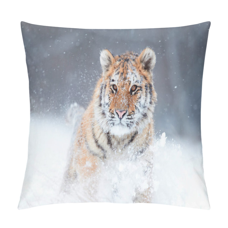 Personality  Close Up Siberian Tiger, Panthera Tigris Altaica, Young Male In Snowy, Freezing Cold, Walking Directly At Camera In Deep Snow. Tiger In Natural Taiga Environment, Winter. Big Cat In Winter Forest. Pillow Covers