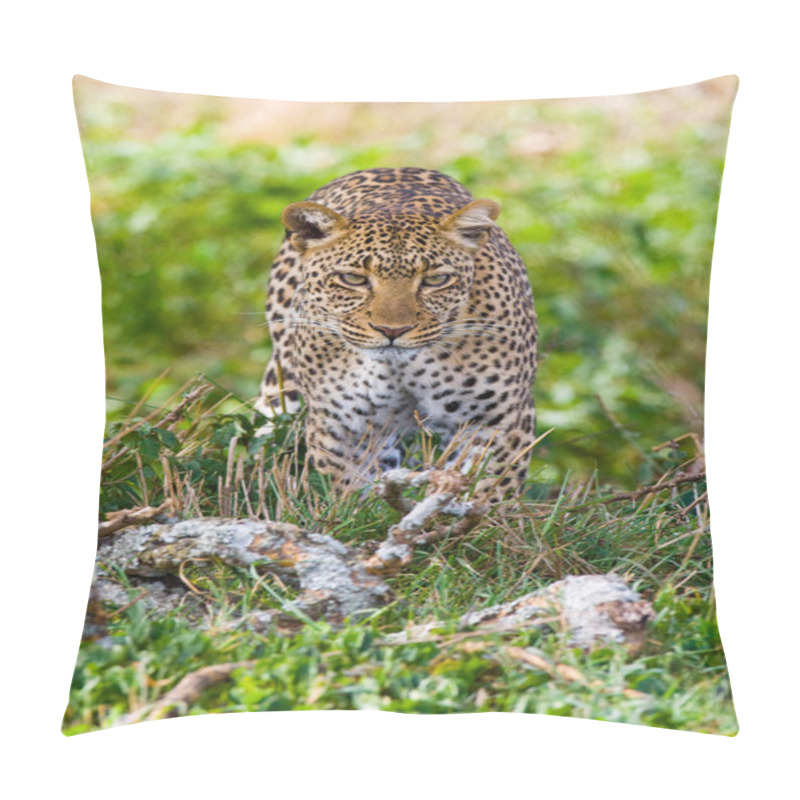 Personality  One Wild Leopard Pillow Covers