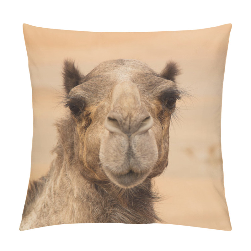 Personality  Middle Eastern Camels In A Desert Pillow Covers