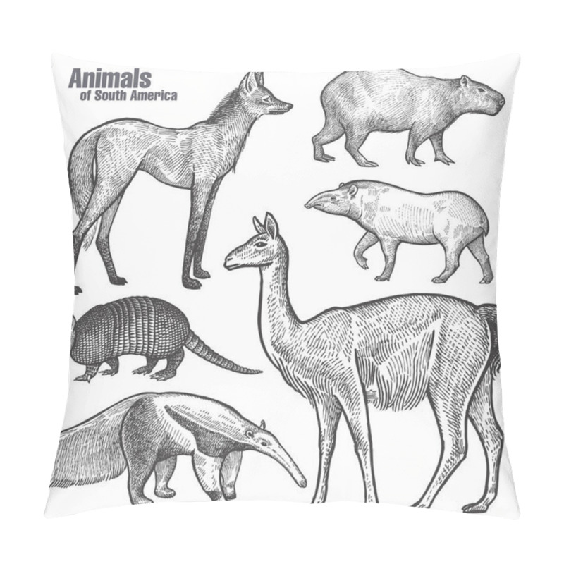 Personality  Animals Of South America Hand Drawing. Maned Wolf, Tapir, Capybara, Armadillo, Anteater, Guanaco. Vintage Engraving. Vector Illustration Art. Black And White. Object Of Nature Naturalistic Sketch. Pillow Covers