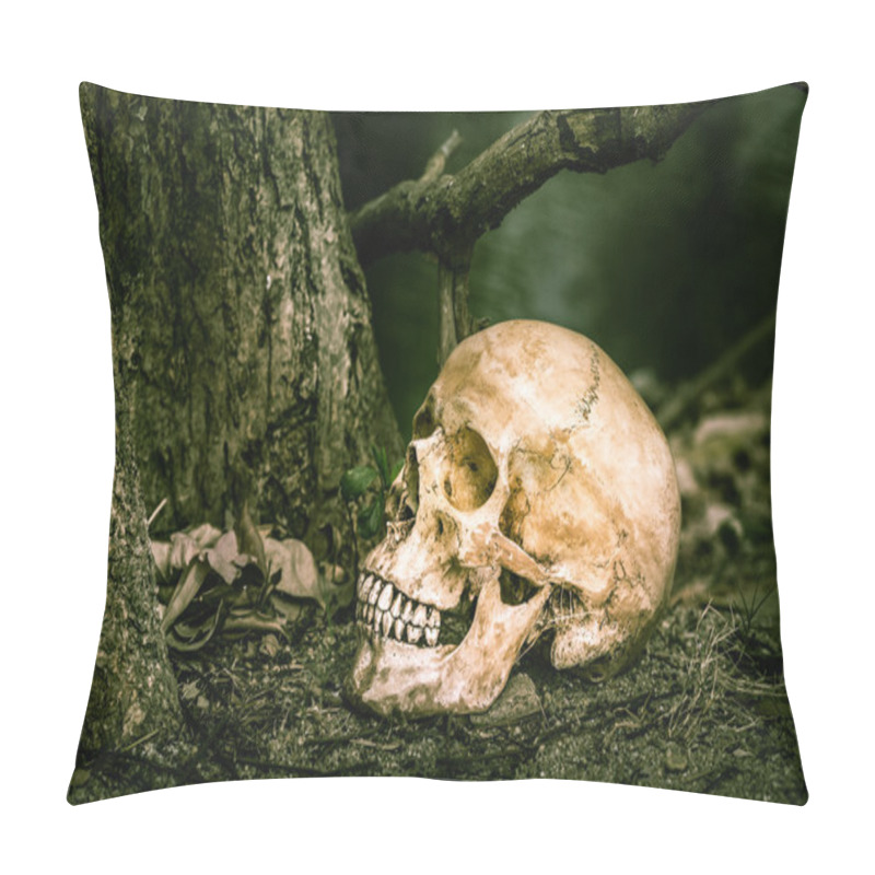 Personality  Still Life Skull Pillow Covers