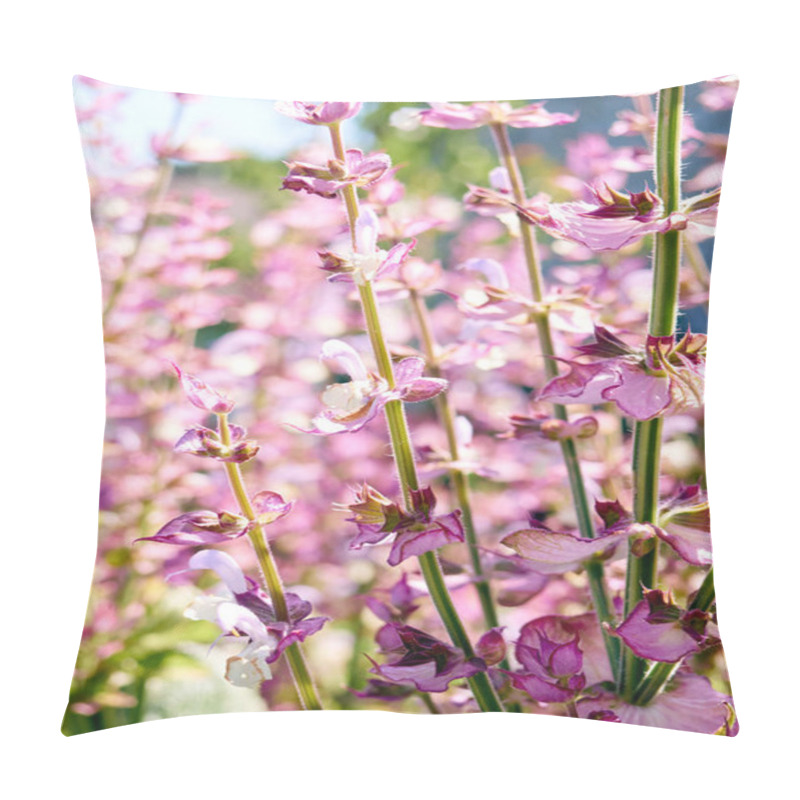 Personality  Blooming Salvia Sclarea In The Garden. Pillow Covers