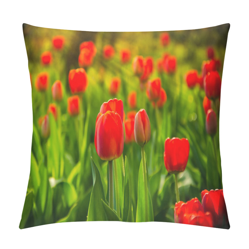 Personality  Red Tulips Pillow Covers