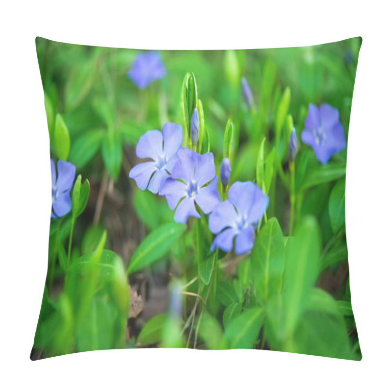 Personality  Periwinkle Flowers Growing Pillow Covers