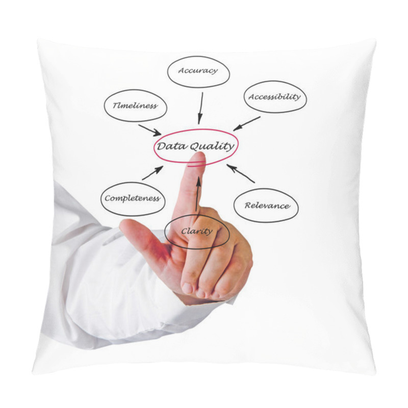 Personality  Diagram Of Data Quality Pillow Covers