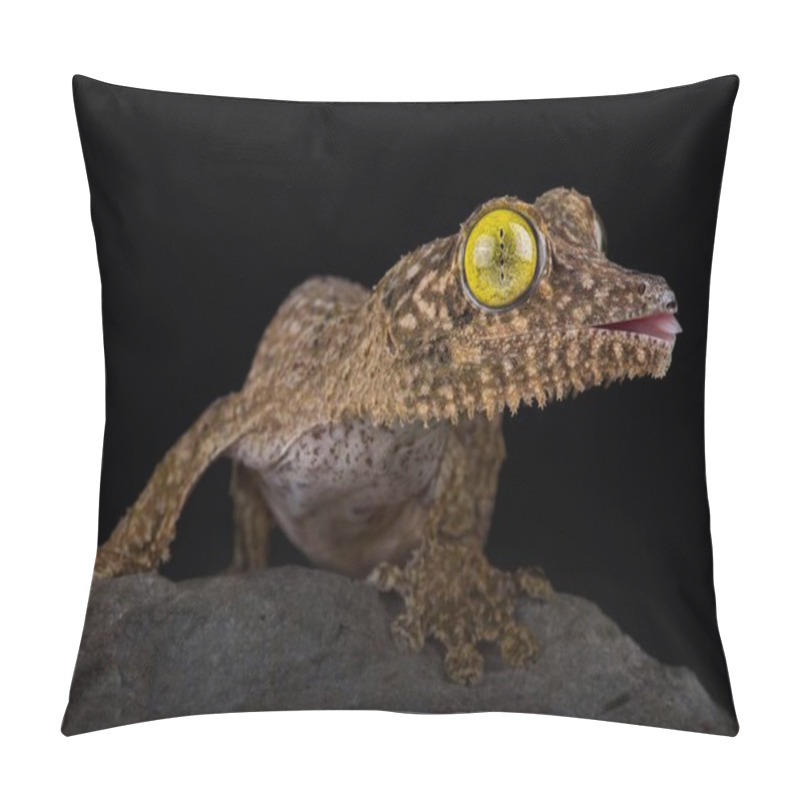 Personality  Henkel's Leaf-tailed Gecko (Uroplatus Henkeli) Pillow Covers