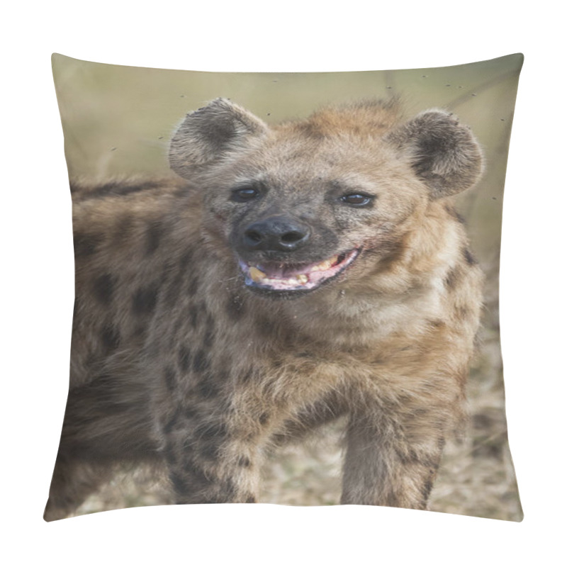 Personality  Hyena In Wild Nature Of South Africa Pillow Covers