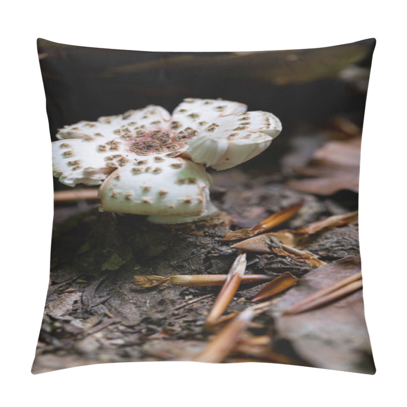 Personality  Gilled Mushrooms On A Forest Floor Pillow Covers