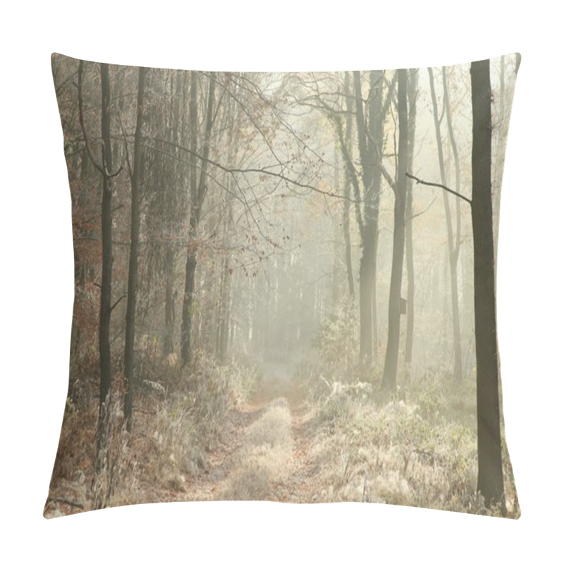 Personality  Late Autumn Forest In The Morning Pillow Covers