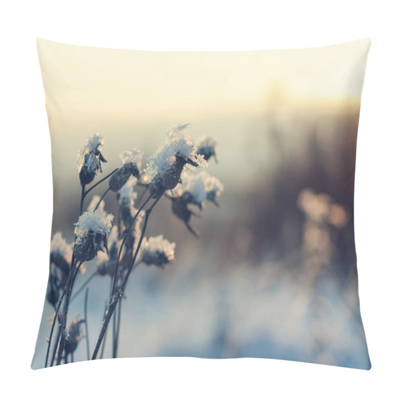 Personality  Plant On A Sunny Day In December. Pillow Covers