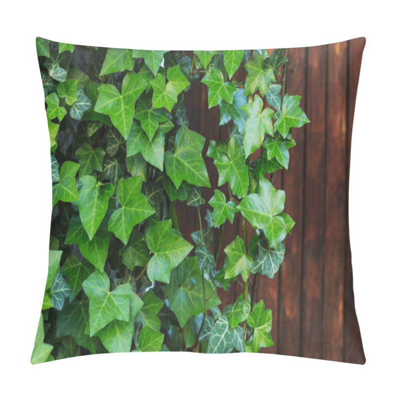 Personality  Ivy Leaves On Wood Pillow Covers