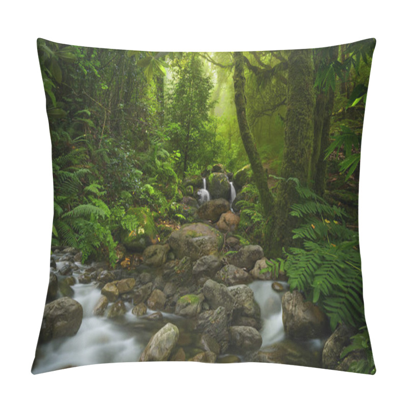 Personality  Tropical Rain Forest In Asia Pillow Covers