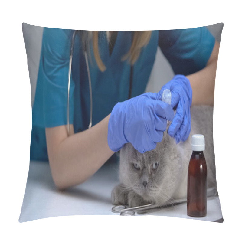 Personality  Veterinarian Dropping Medications In Cat Ears, Tick Prevention And Treatment Pillow Covers