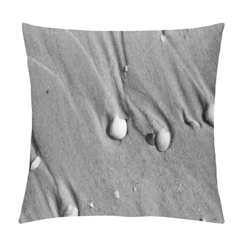 Personality  Black And White Broken Seashells On Wet Sand Beach At Sun Summer Day. View From Above. Pillow Covers