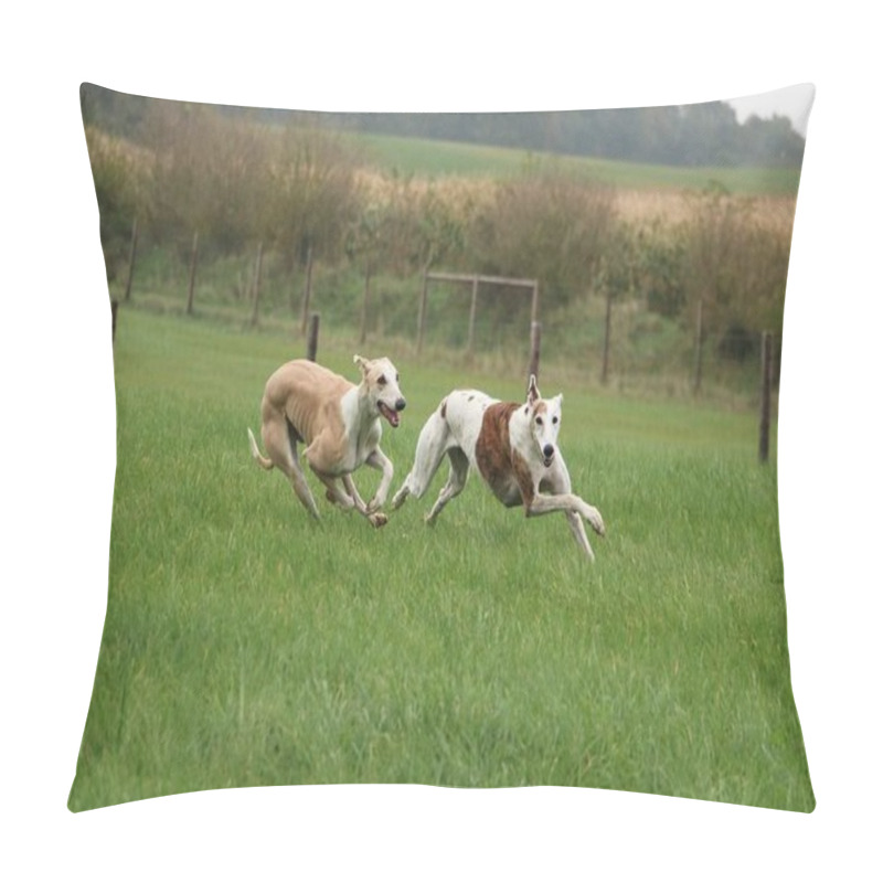 Personality  Two Running Galgos In The Park Pillow Covers