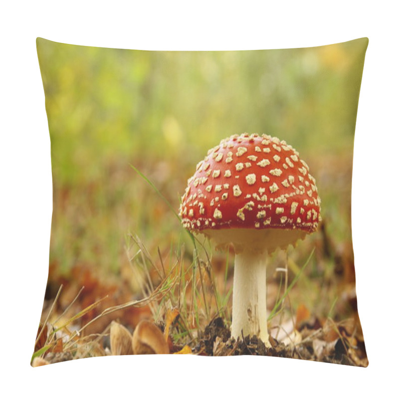 Personality  Red Stipe Mushroom Pillow Covers