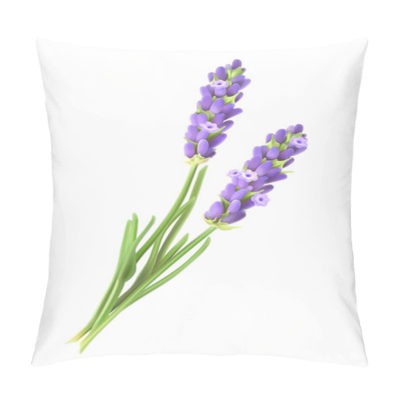 Personality  Lavender Flowers, Vector Illustration Pillow Covers