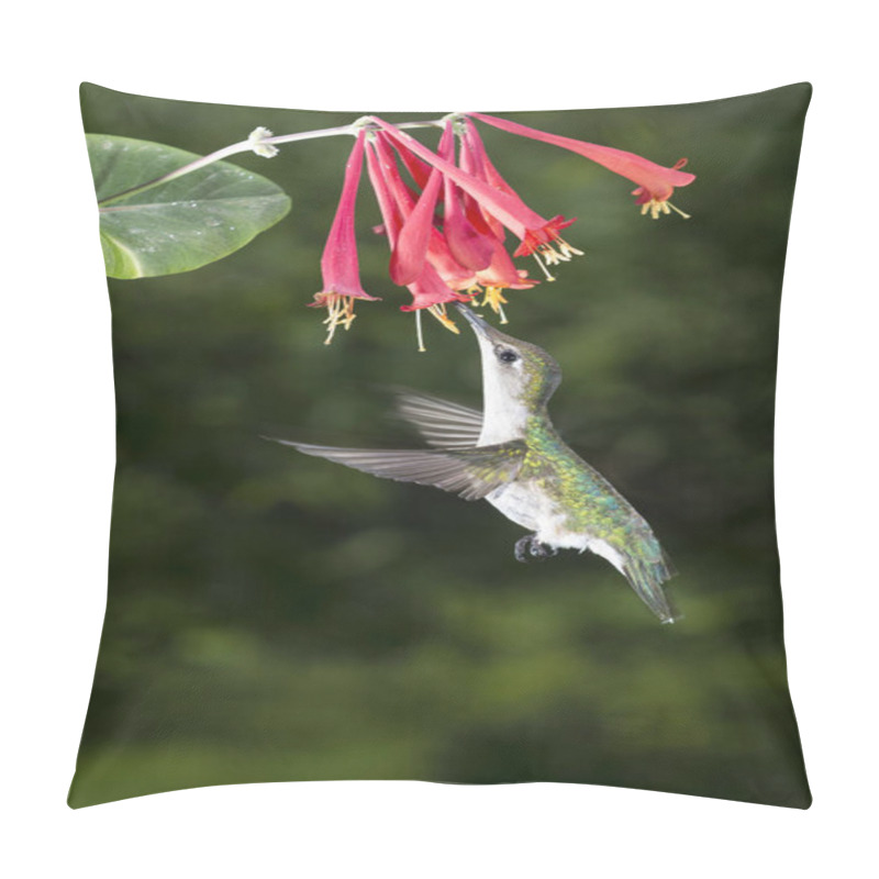 Personality  Female Ruby-Throated Hummingbird. Pillow Covers