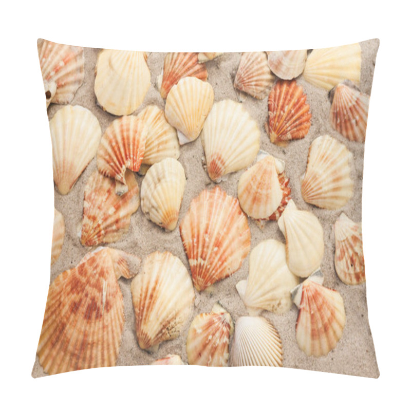 Personality  Seashells On The Sand, Summer Beach Tropical Background Travel Concept With Copy Space For Text. Pillow Covers