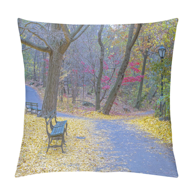 Personality  Central Park, Manhattan, New York City In  Autumn Pillow Covers