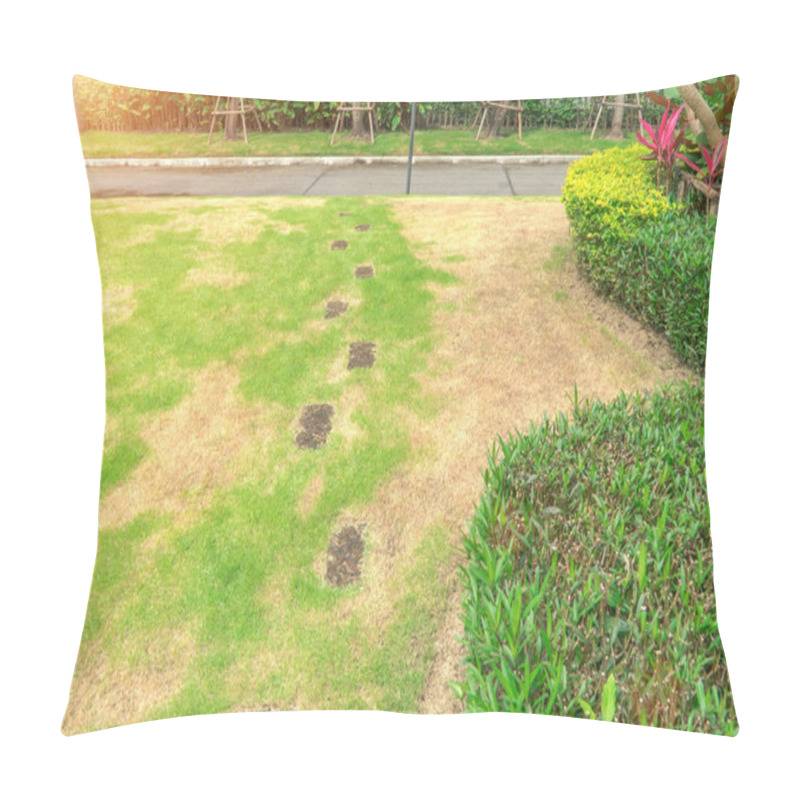 Personality  The Lawn In Front Of The House Is Disturbed By Pests And Diseases Causing Damage To The Green Lawns, Lawns In Poor Condition And Requiring Maintenance. Pillow Covers